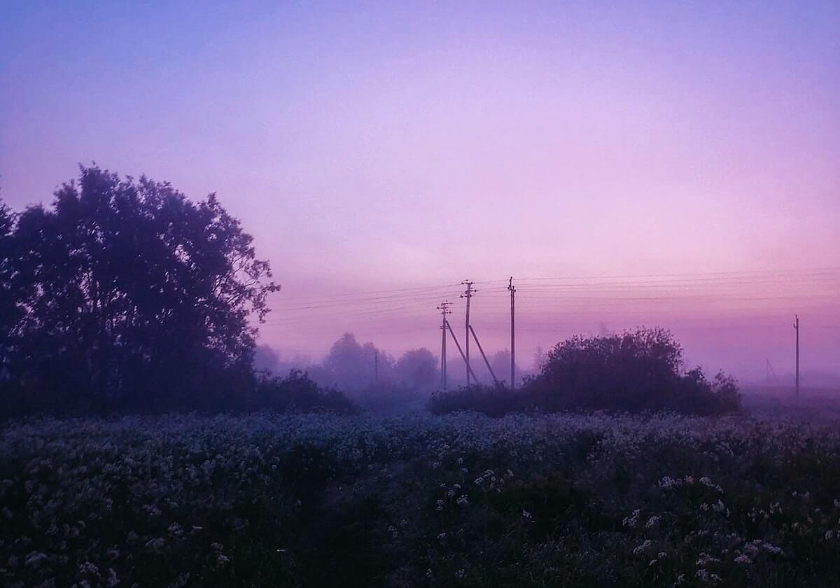 APP下载-詹姆斯回答小球迷提问，爆梗“Taco Tuesday”引台下一片欢呼